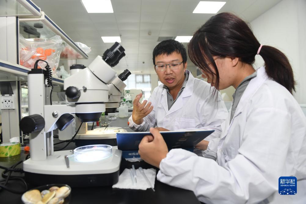 免费送彩金的游戏平台